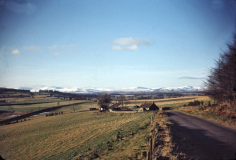benarty-164