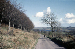 benarty-194