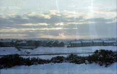 benarty-181