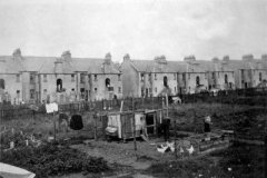 benarty-259