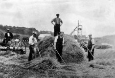 harvestd042705004
