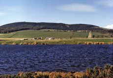 benarty-128