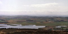 benarty-175