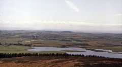 benarty-183