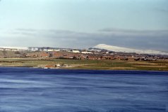 benarty-184