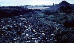 benarty-354