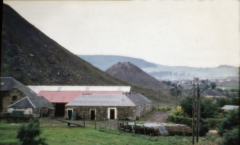 benarty-368