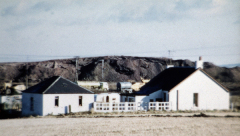 benarty-373