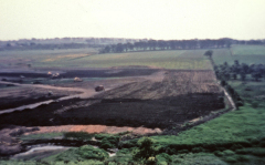 benarty-381