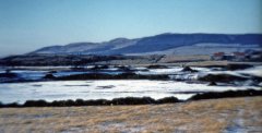 benarty-385