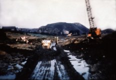 benarty-391