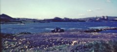 benarty-393