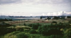 benarty-396