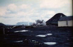benarty-403