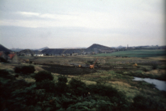benarty-425
