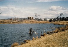 Lochore Meadows