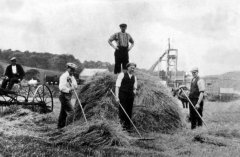 harvest-meadows