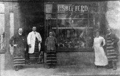 sheperd-butch